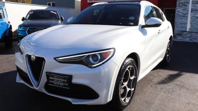 ALFA ROMEO STELVIO 2021 ZASPAKBN1M7D15782 image